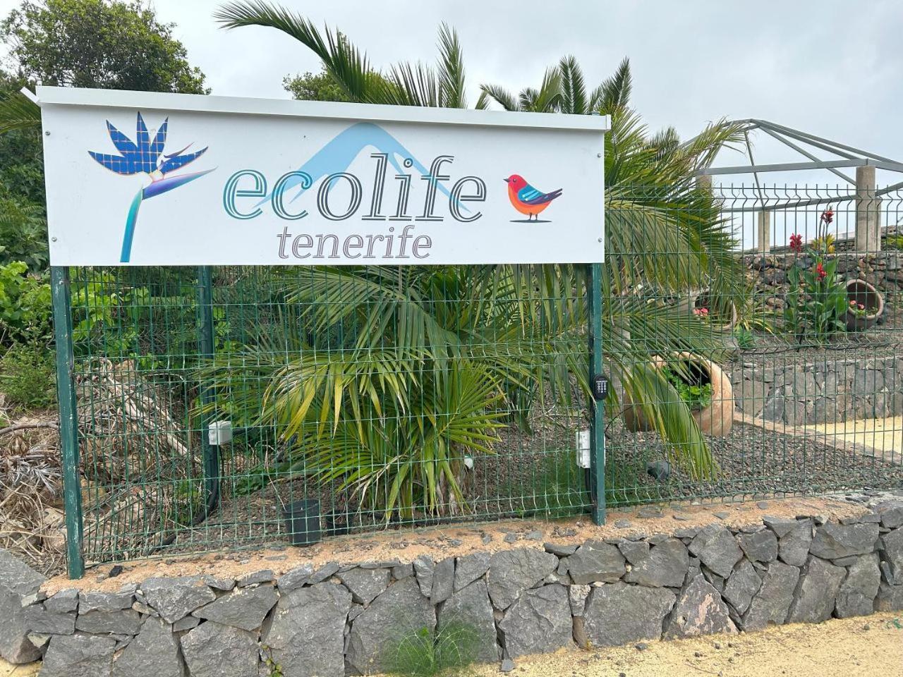 Tenerife Ecolife Houses By Apartamentos Estrella Del Norte Гарачико Экстерьер фото